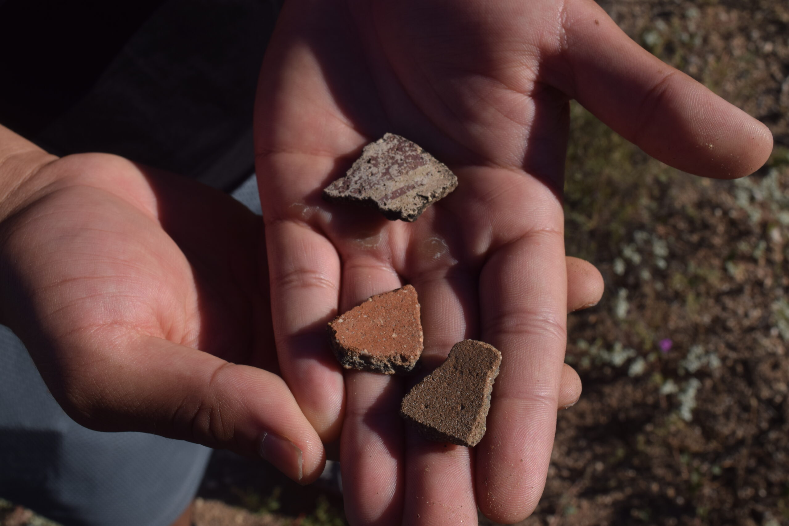 Really Digging Archaeology