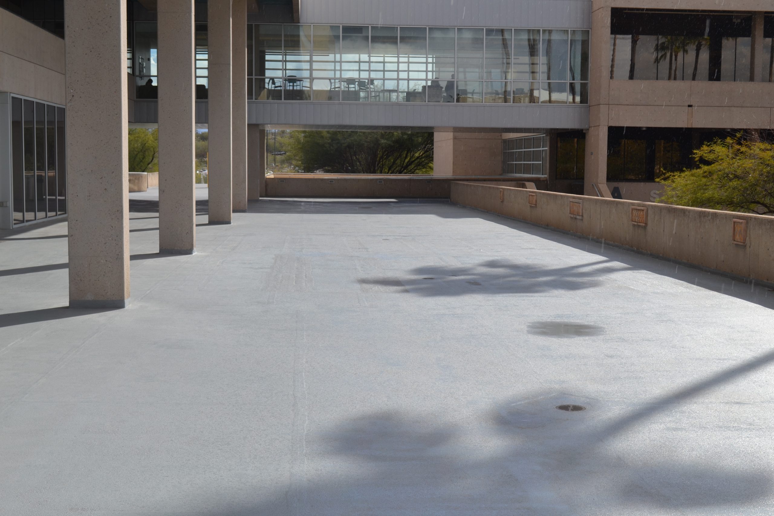 Fifty years expose need for campus facelift