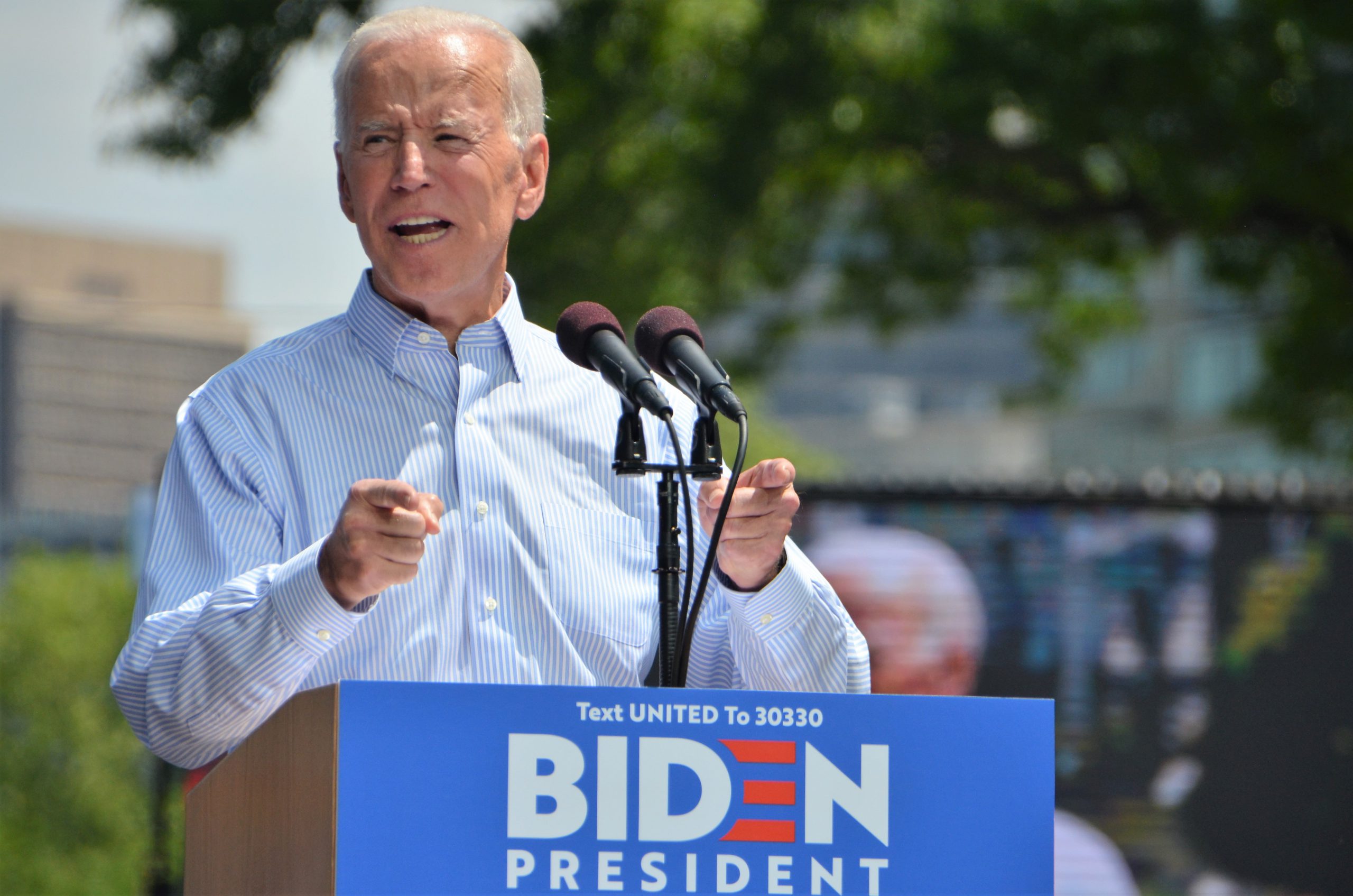 Upholding Democracy in a Crisis