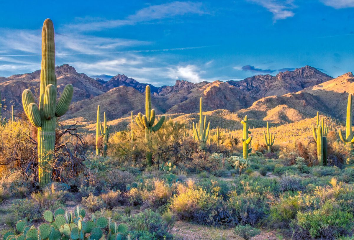 Climate change education remains difficult for Arizona science teachers