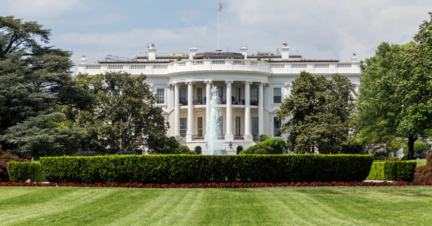 Op-Ed: Learning From the Democrats’ Defeat in 2024