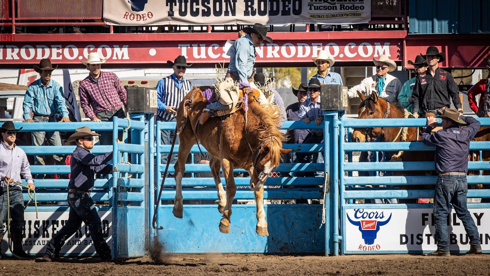 Rodeo 101: This ain’t my first rodeo, but if it’s yours, here are some things to know 