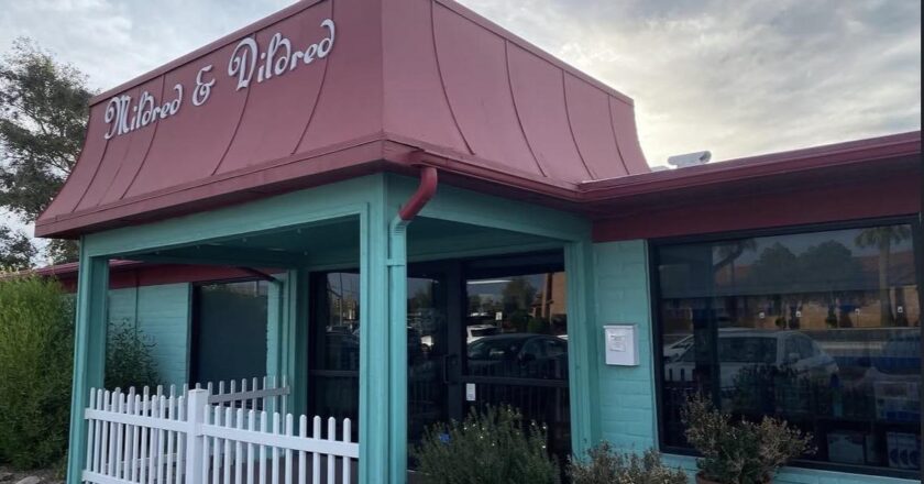 From TikTok to toy shelves: How viral products are changing small businesses